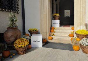 EkoGroup Vila – expertul tău în organizarea evenimentelor corporate de firmă